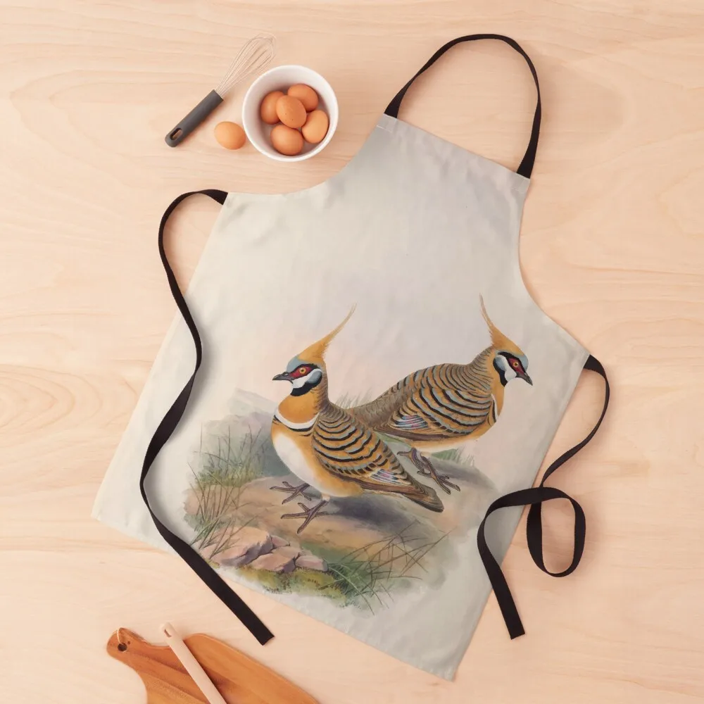 John Gould The Birds of Australia 1869 069 Lophophaps Leucogaster Apron carpenter Women's Dresses Home Utensils Apron