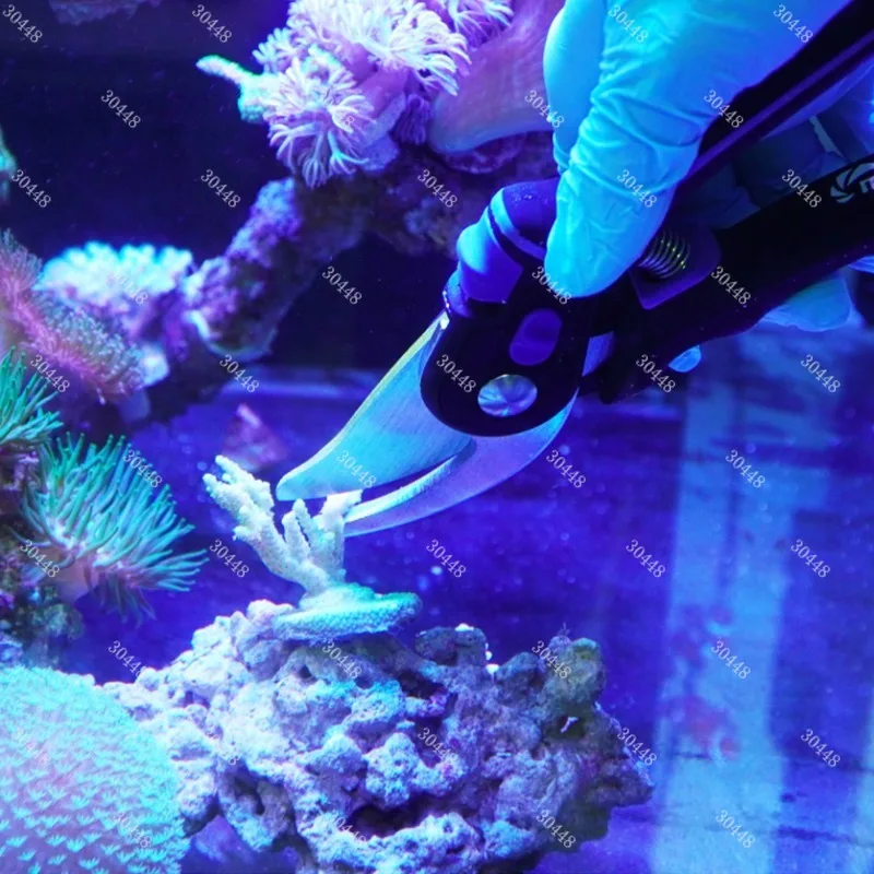 SPS المرجان Frag Cutter مقص 316 الفولاذ المقاوم للصدأ المضادة للتآكل أداة حوض السمك البحرية