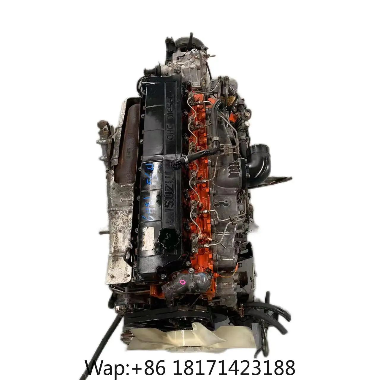【Hot】6HE1 Long Block Heavy‑Duty Diesel Engine Assembly 100% Professional Tested for Truck