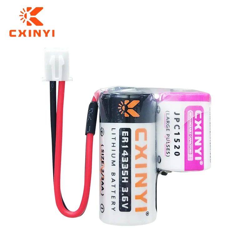 

CXINYI ER14335H+JPC1520 High Capacity Battery Pack Hydrogen Sulfide Detection Instrument Temperature and Humidity Recorder