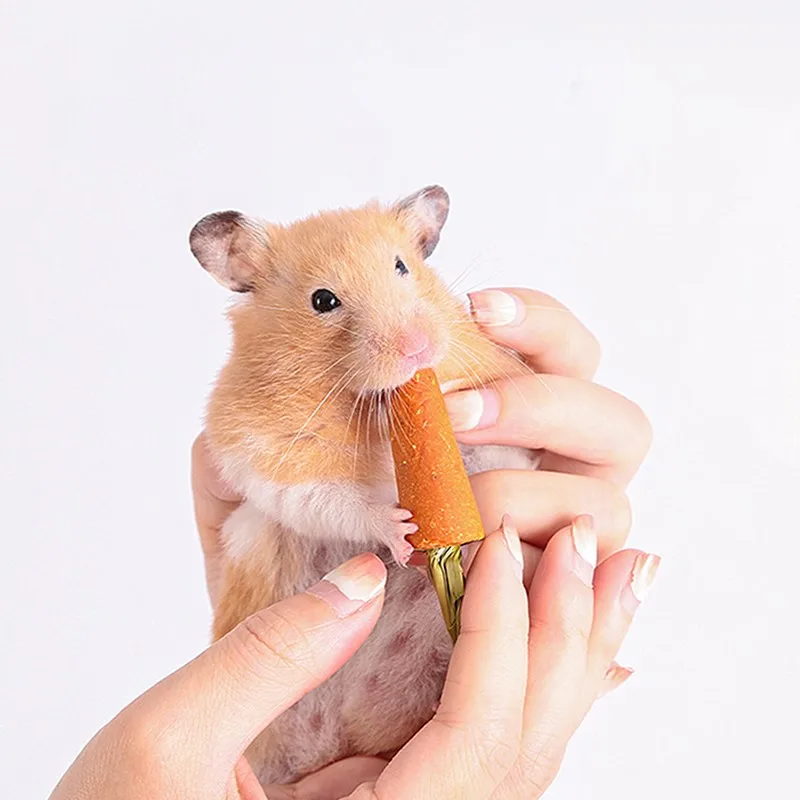 3 Pcs Hamster Carrot Teething Supplies Grass Cake Toy All Natural Nutritious Carrot Rabbit Golden Snacks