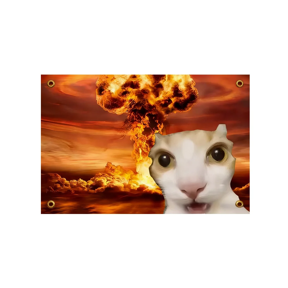 Tappeto da parete con meme gatto divertente Esplosione Nucleare 2x3ft 3x5ft, bandiera a nuvola di fumo per decorazioni camera da letto, dormitorio, feste