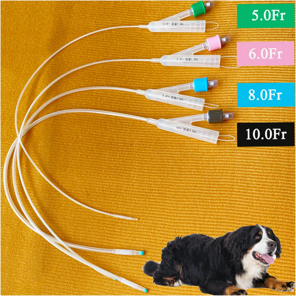 Pet Dog 2-way Urinary Catheter Foley Catheter 5FR 6FR 8FR 10FR Standard And Extend Length With Stylet Long Time Placement 5PCS