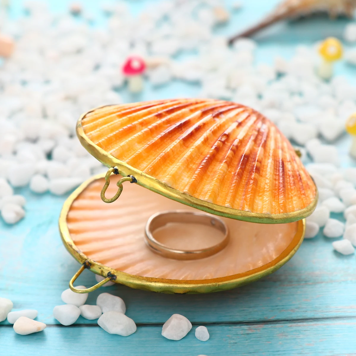 

6 Cm Natural Shell Jewelry Box Schmuckdose Muschel Stethoscope Seashell Etuis Miss