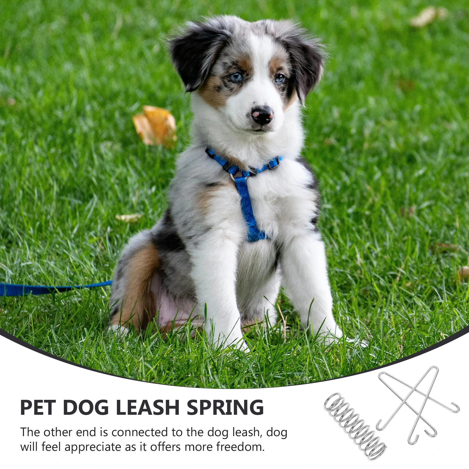 

Stainless Steel Dog Leash Spring Shock Absorbing Spring Heavy Duty Tension Spring Pet Leash Supplies Dog Leash Accessories