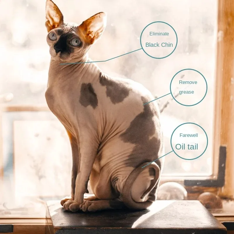 500 ml Sphinx-Katzen-Haustier-Shampoo, Katzen-Duschgel, kanadisches Körperwaschgel, Haustier, Katze, haarlose Katze, spezieller Körperwaschfreier, um Öl zu kontrollieren – Detail 6