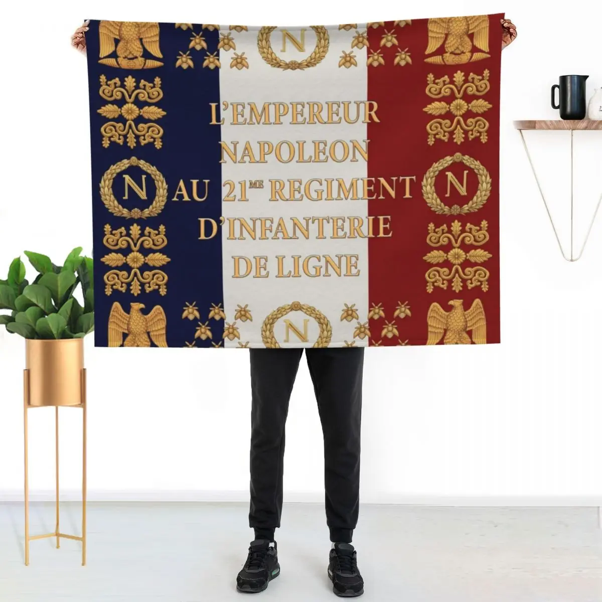 Napoleonic French drapeaux of the 21me D'infanterie de Ligne 1812 Throw Blanket Breathable Lightweight Blanket for Adults Kids
