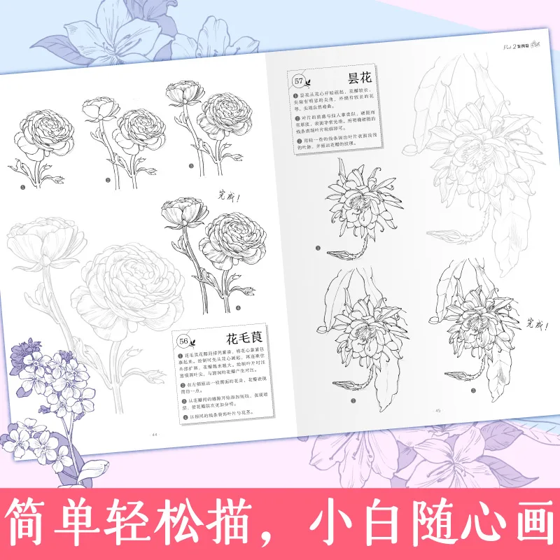 2 Books/Set 100 Kinds Of Animals and Flowers Sketch Line Drawing Copy Album Zero Basic Sketch Flower Pencil Drawing Art Book