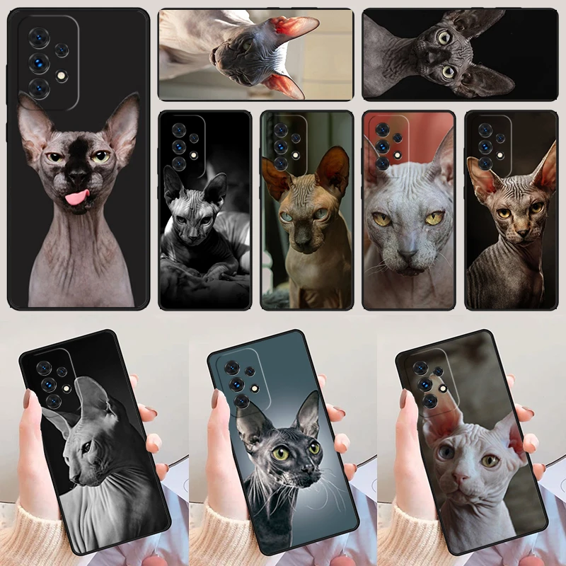 Sphynx Sphinx Cat P… - image