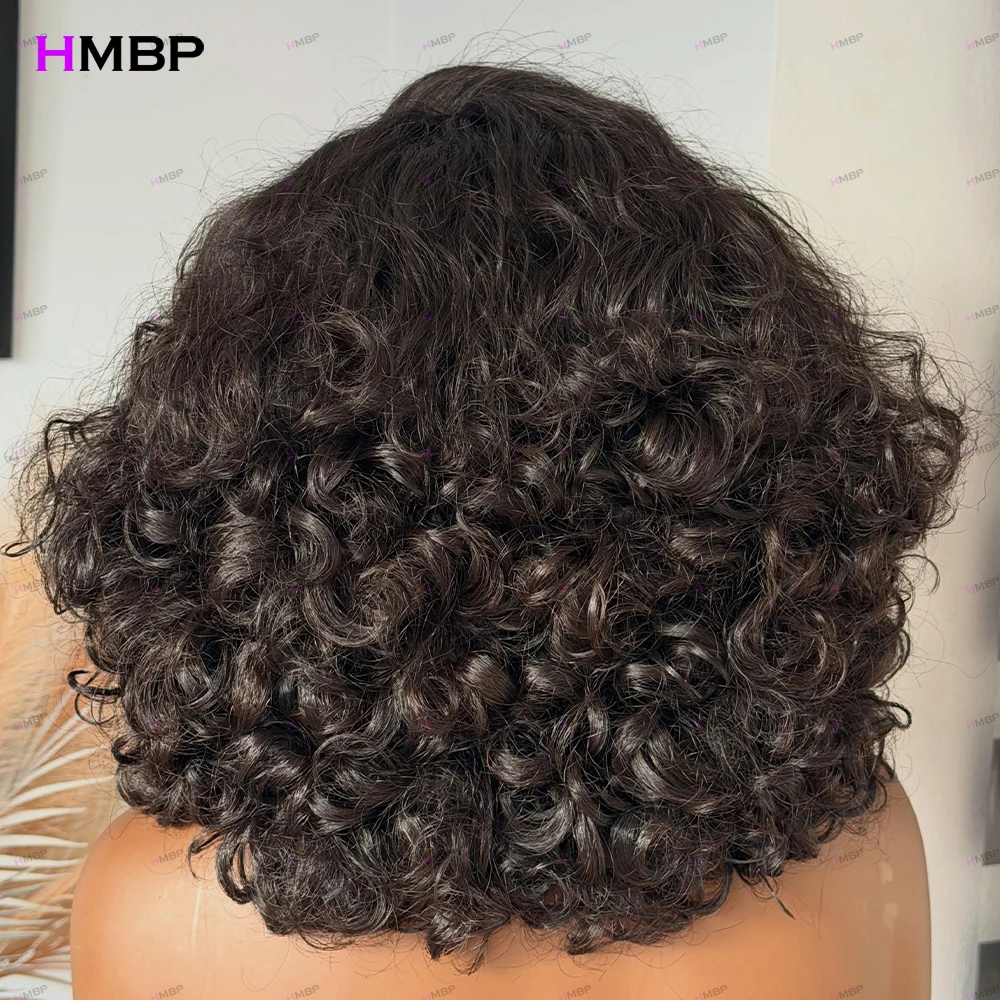400 Density PrePlucked 13x6 HD Transparent Lace Frontal Wigs Curly Glueless Wig 100% Human Hair 360 Lace Frontal Wig Wear And Go