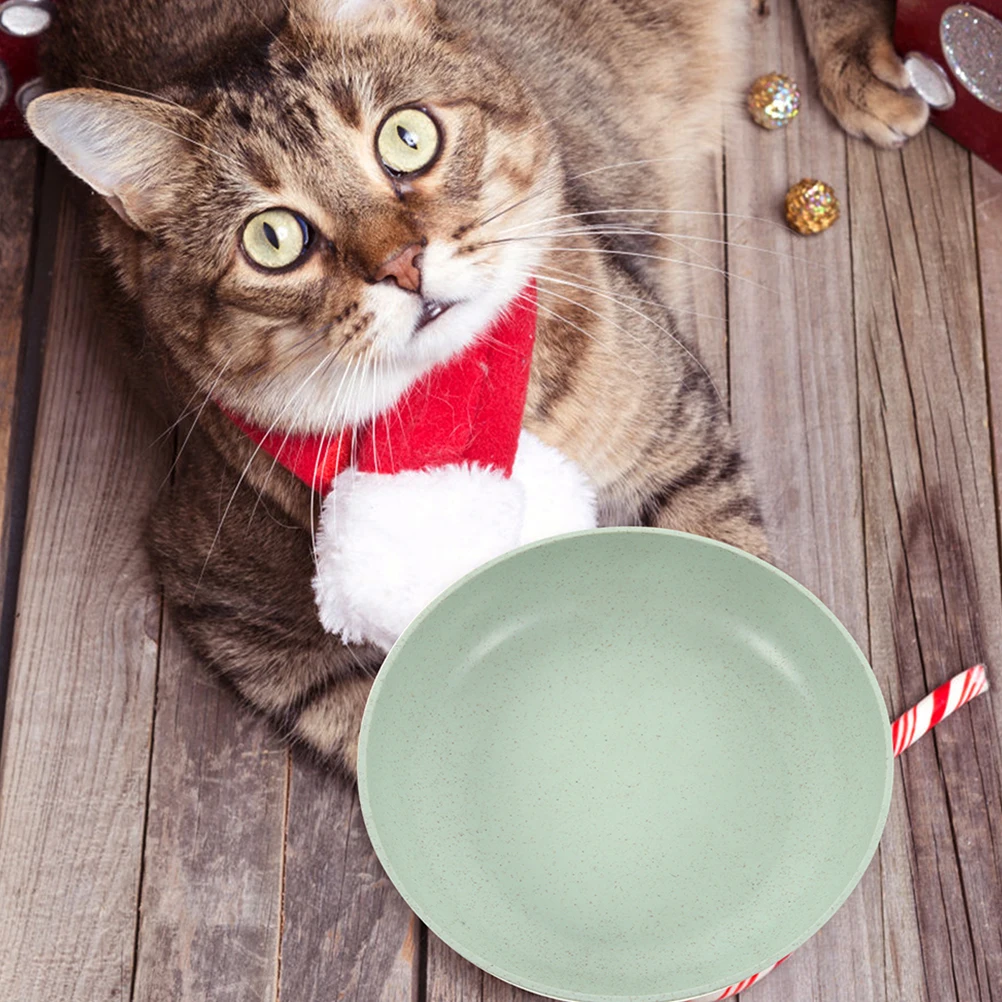

12 Pcs Cat Food Tray Shallow Pet Bowl Feeder Plates Wet Small Cats Short Leg Breeds Non Green for Meals