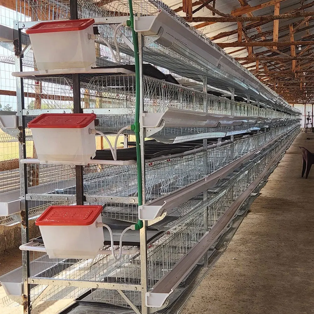 Capacity 60-80 Birds Galvanized Broiler Chicken Cage H-Type Farm Equipment Saves Animal  Design Breeding Broilers Rearing House