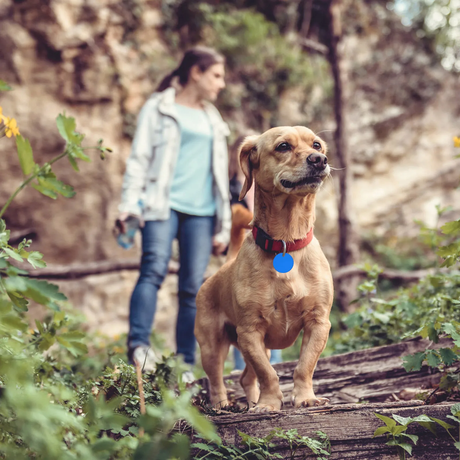 

25 pcs Round 1.4Inch Blank Aluminum Tags Lightweight Durable Pet Id Tag For Dogs Puppies Anti-Rust Corrosion Resistant Diy