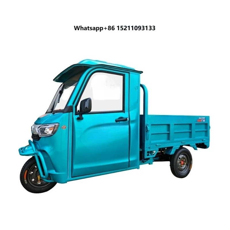 1000W Electric 3-Wheel Trike 60V Low Voltage Steel Material Open/Enclosed Delivery Car Cheap OEM Cargo Tricycle Motorized Trike