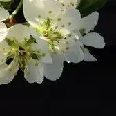 

16.8V 30Ah 14.8V 18650 4S10P lithium-ion battery pack with built-in BMS for night fishing light heater miner amplifier battery