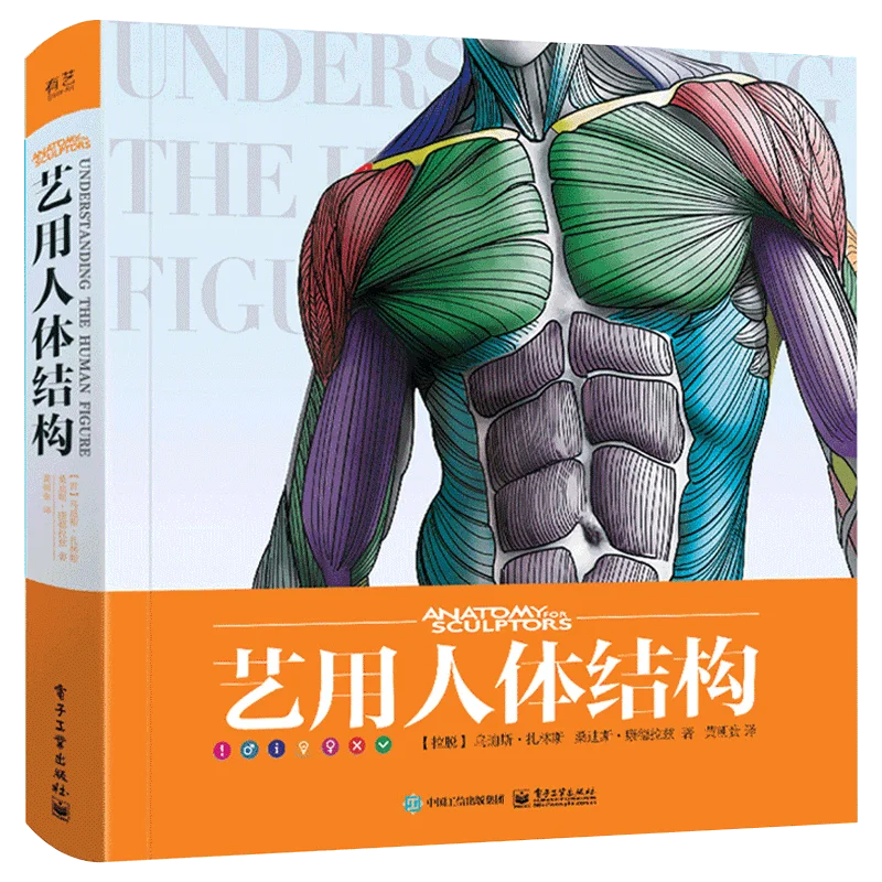 3D Art Human Body Books Sculpture Game Character Design Basic Tutorial Books Drawing Human Form Structure Skeletal Muscle