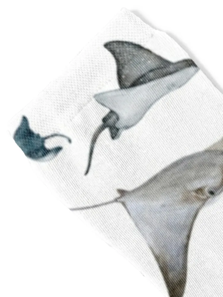 Watercolor Stingrays Socks