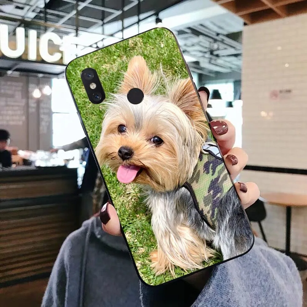 York Shire Terrier Dog Phone Case For Xiaomi Mi 5X 8 9 10 11 12 Lite Pro 10T PocoX3pro PocoM3 Note 10 Pro Lite