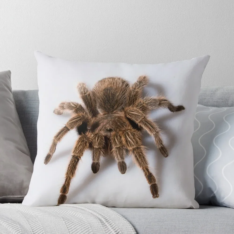 

Tarantula Throw Pillow Sofa Covers Sofa Cushions Cover Christmas Pillow ornamental pillows for living room