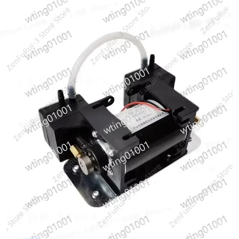 for 12V 220V Mute Double Head Diaphragm Vacuum Pump Positive Negative Pressure Beauty Instrument Micro Air Suction Transfer