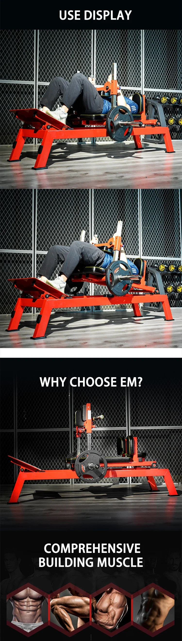 Hip Trainer Fitness Brand Plate Loaded Gym Equipment Workout Equipments Waist & Abdomen Exercise Strength Training Exercise