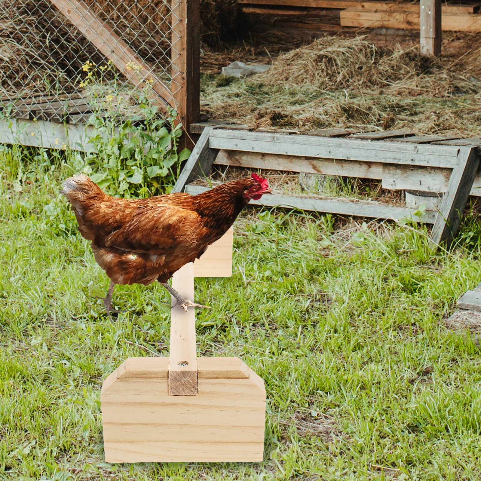 

2Pcs Parrot Stand Wood Bird Cage Accessories Durable Pet Perch Chick Standing Rack Exercise Ability Bird Stand