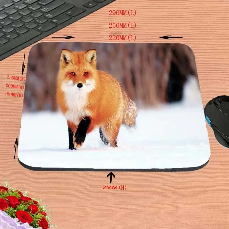 Mairuige Cheap Best  Funny Animals Deserts Ear Funny Custom Various Mouse Pad for Size 18*22cm and 25*29cm and 25*20cm Mousepads