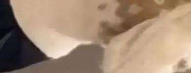 

HH женский модный жаккардовый свитер с круглым вырезом и резиновым эффектом, женский повседневный универсальный уличный зимний пуловер с длинными рукавами, топ