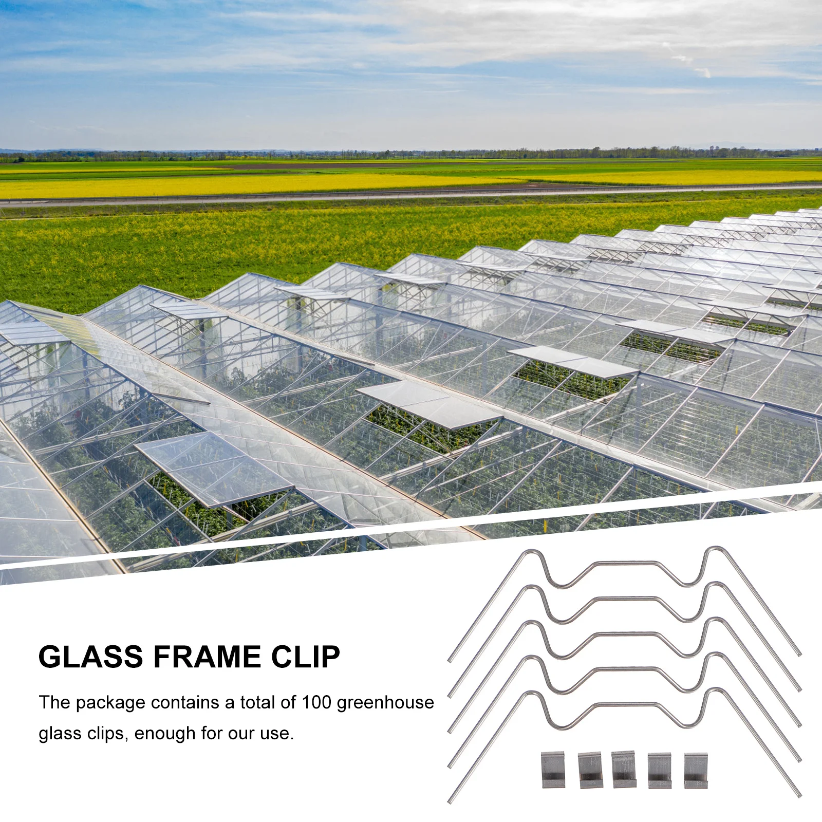 

100Pcs Greenhouse Glass Fixing Clamp Stainless Steel Spring Clip W Wire Durable Glazing Frame Hardware for Greenhouse Supplies