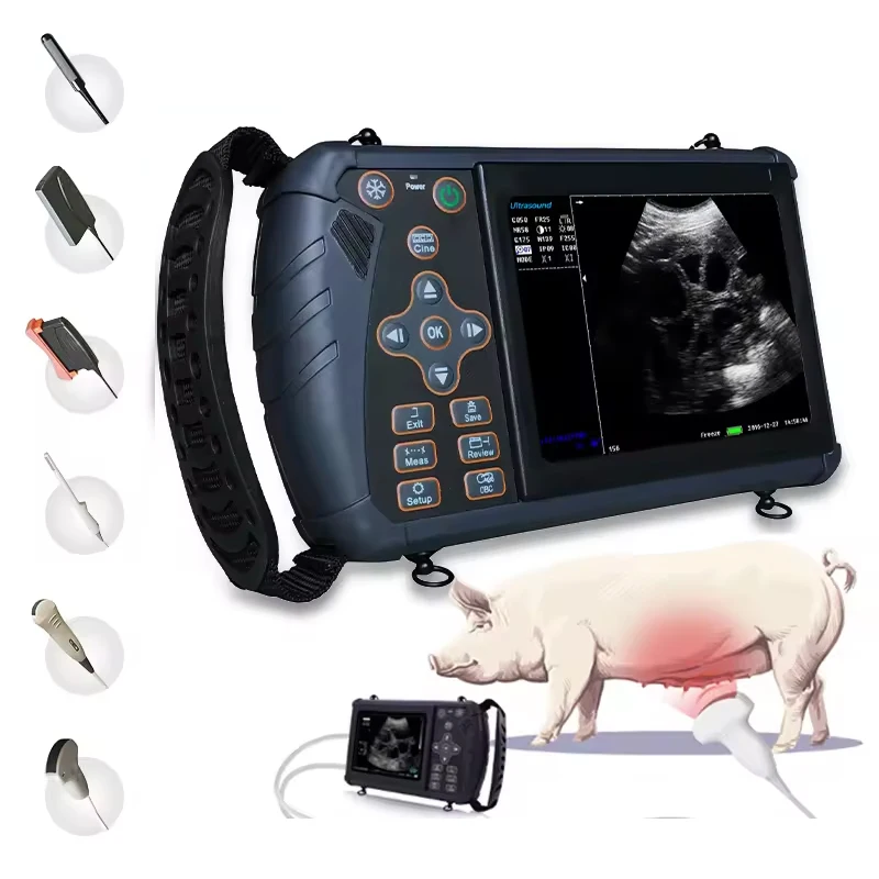 Veterinary Equipment Handheld Portable Veterinary Vet Scanner Pig Pregnancy Machine Animals Video Small Ultrasound Scanner