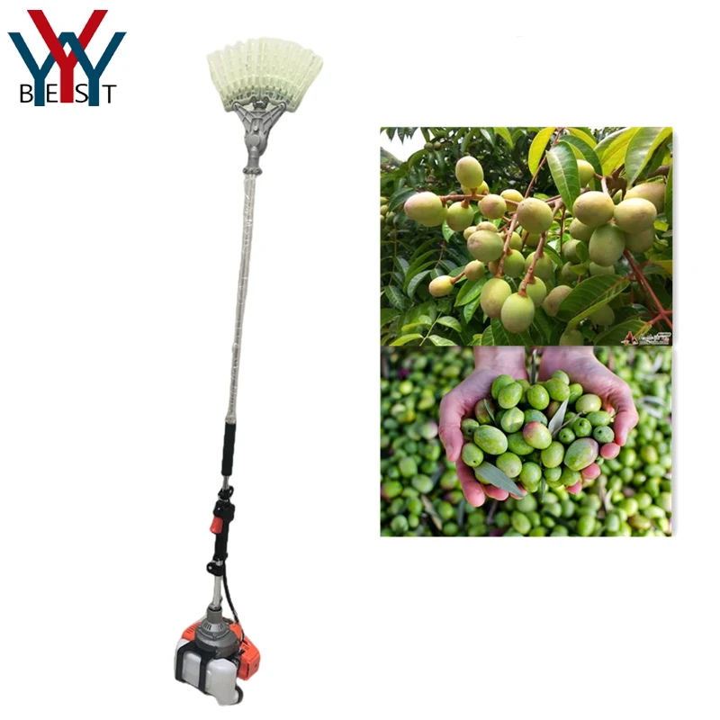 

Gasoline olive Harvest Harvesting Picking Shaking Beating Machine Jujube Walnut Nuts Apricot Shaker Harvester Picker Machine