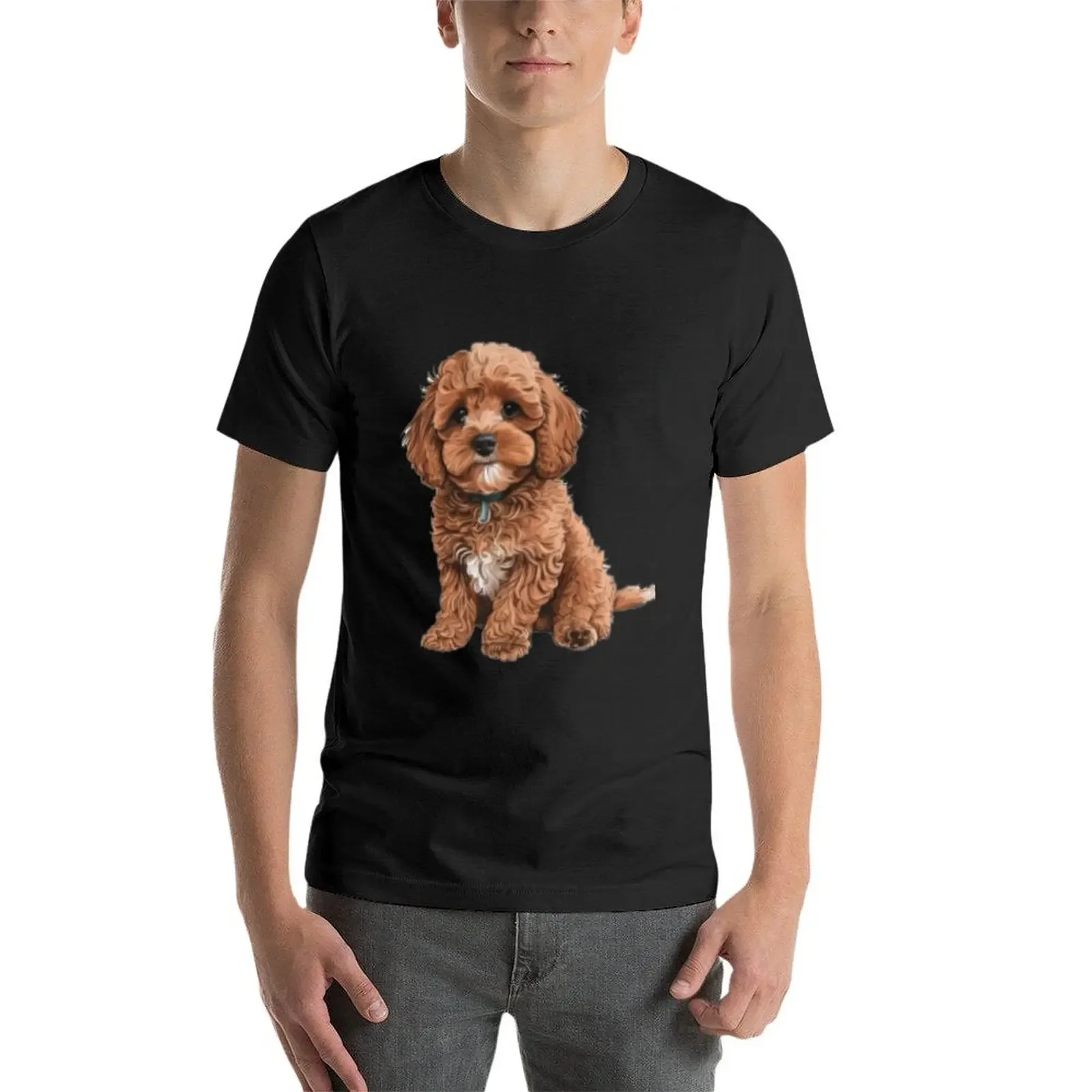 Cockapoo Cavapoo Dog Cavalier King Charles and Poodle dog, Cavadoodle or Cavoodle T-Shirt anime t shirts mens white t shirts
