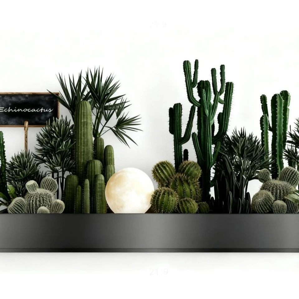High-end cactus decorative flower box, bought for café and tavern landscaped flower beds
