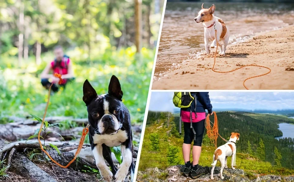 1 Stück robuste Hundeleine – strapazierfähig, bequemer Griff, sicher für Spaziergänge mit Haustieren – geeignet für Hundebefestigungsschnur – Detail 2