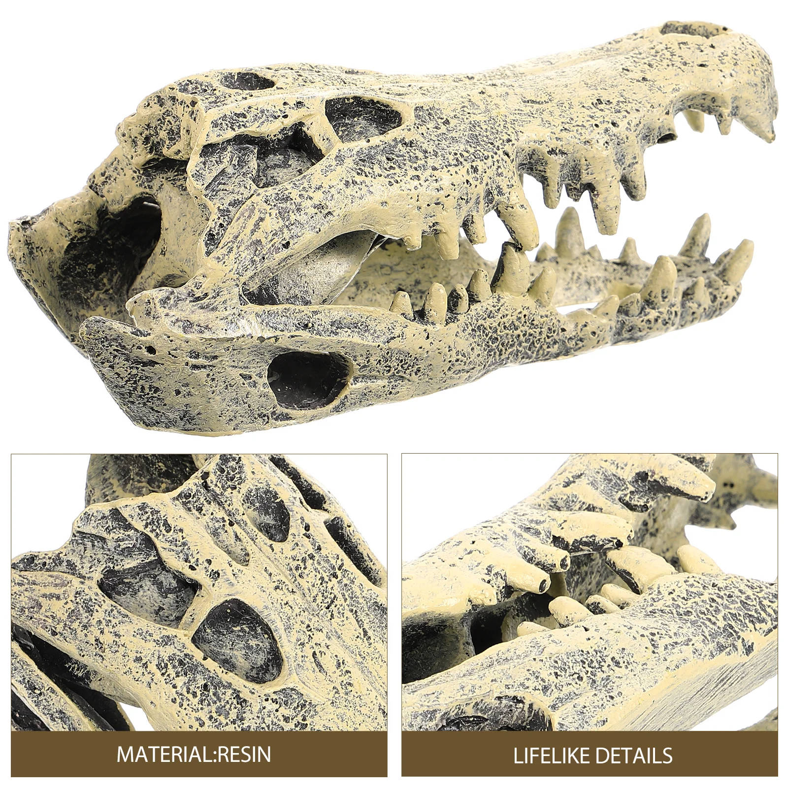 

Resin Dinosaur Skull Decor Desktop Ornament for Home Office Garden Creative Lifelike Dinosaur Skull Sculpture Desktop Decor