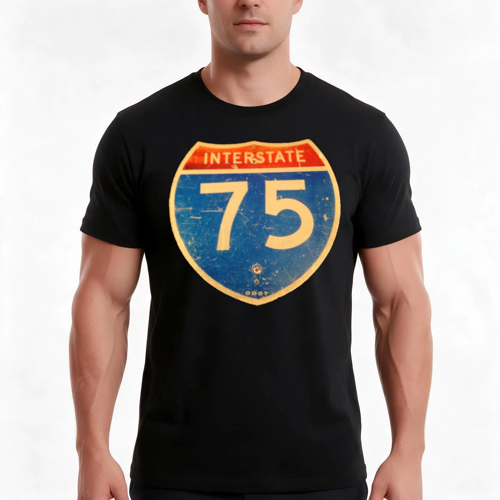 Ohio Interstate 75 (I75 or I-75) Sign T-Shirt Summer Casual Cotton Tee Oversized Streetwear Tops Vintage Graphic Print