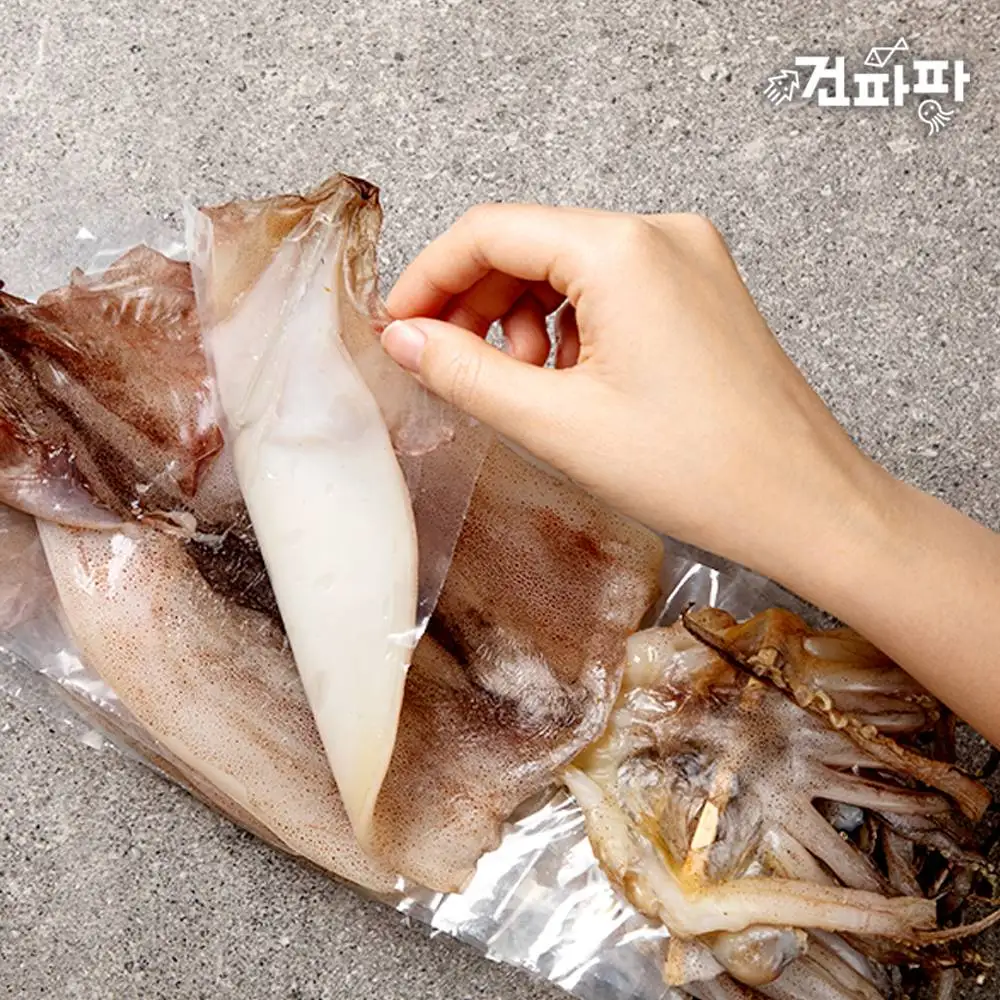 [품질보증]국내산 동해안 반건조오징어 피데기 대 사이즈 5미 (약 600g)