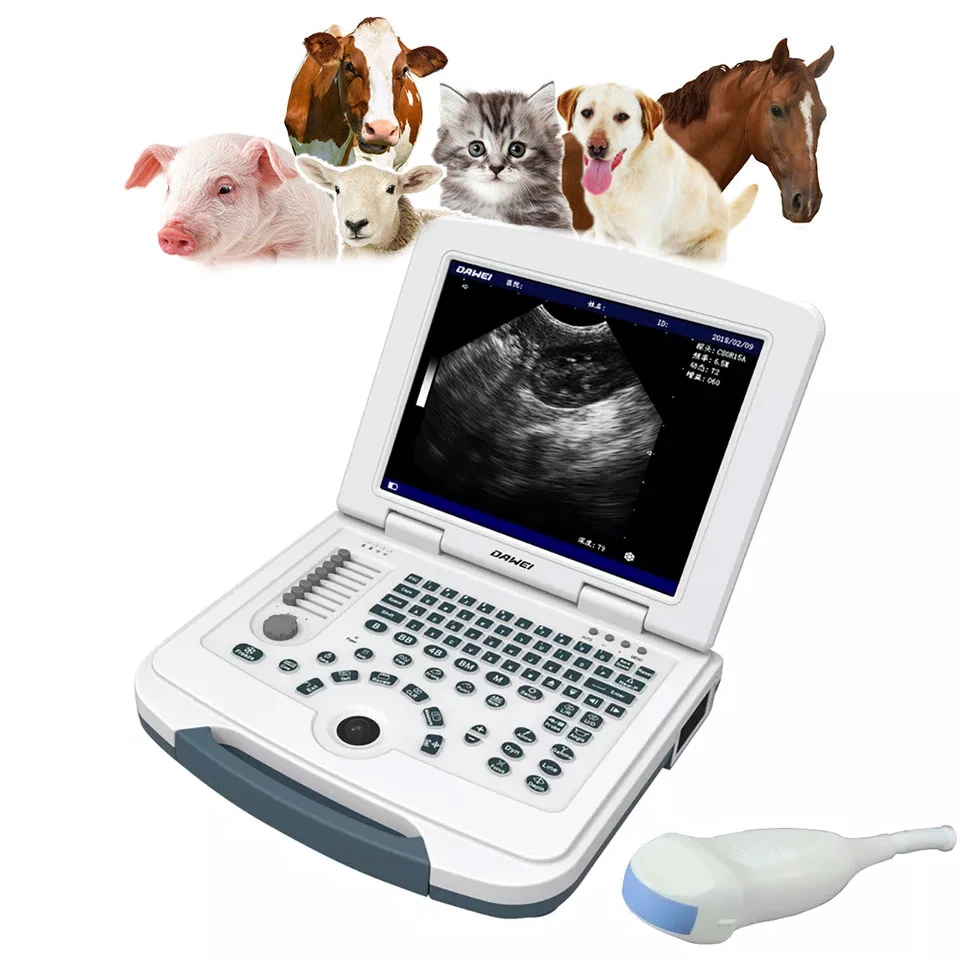 Veterinary Instrument Full Digital Laptop Veterinary Ultrasound Machine Portable for Animal Health Diagnosis