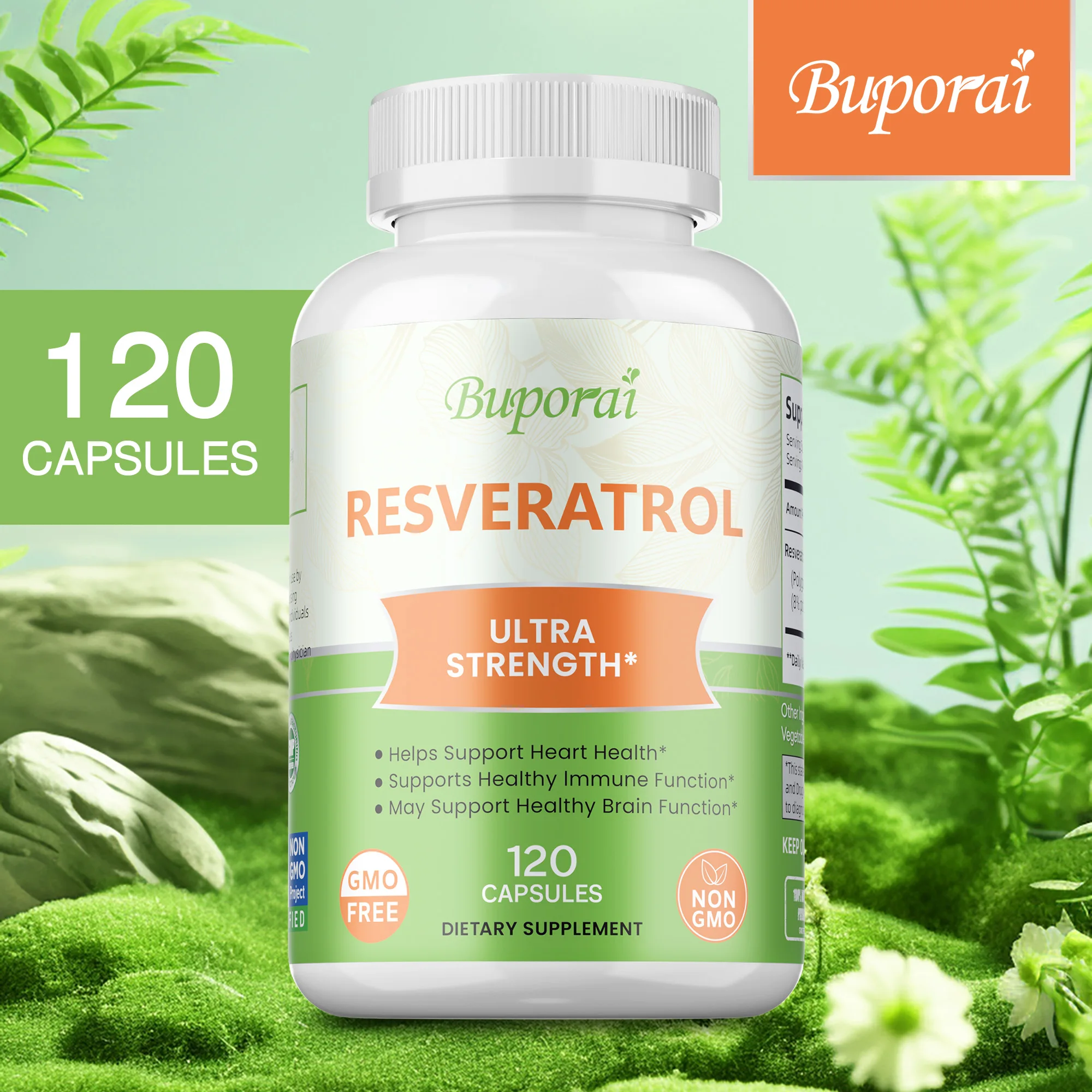 

Экстракт ресвератрола — антиоксиданты, гладкая кожа, способствует здоровью сердца и сердечно-сосудистых веществ, повышает иммунитет