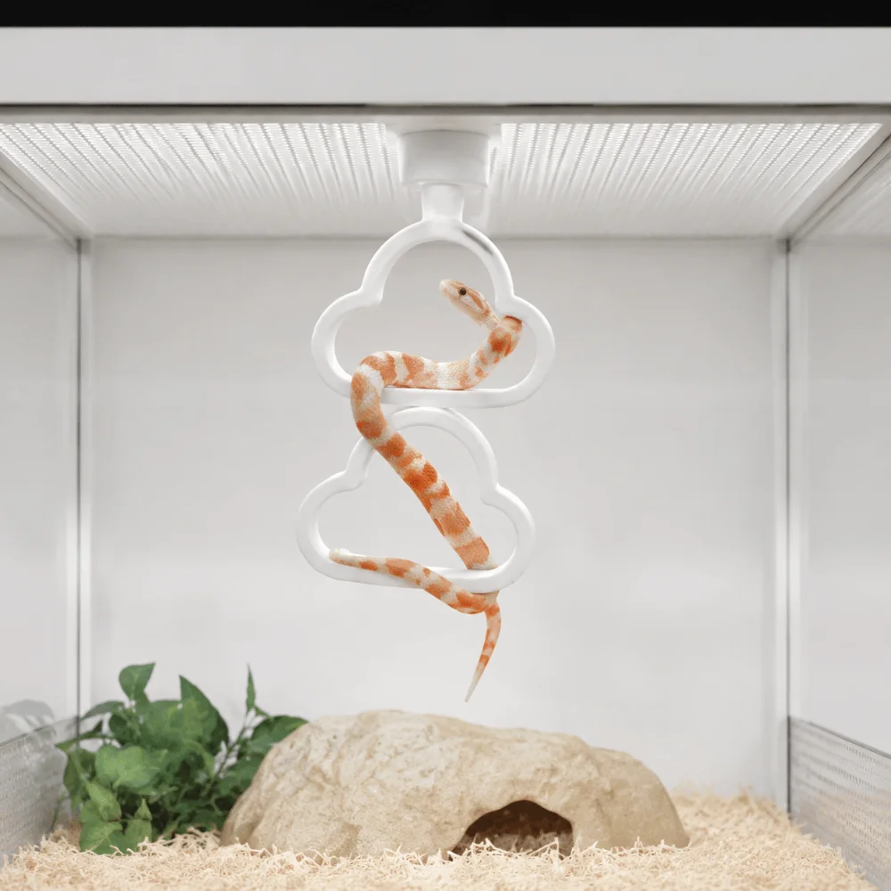 Hanging Reptile Climbing Ring Plastic Multi-Level 3-Ring Climber Exercise Cloud Shape Snake Climbing