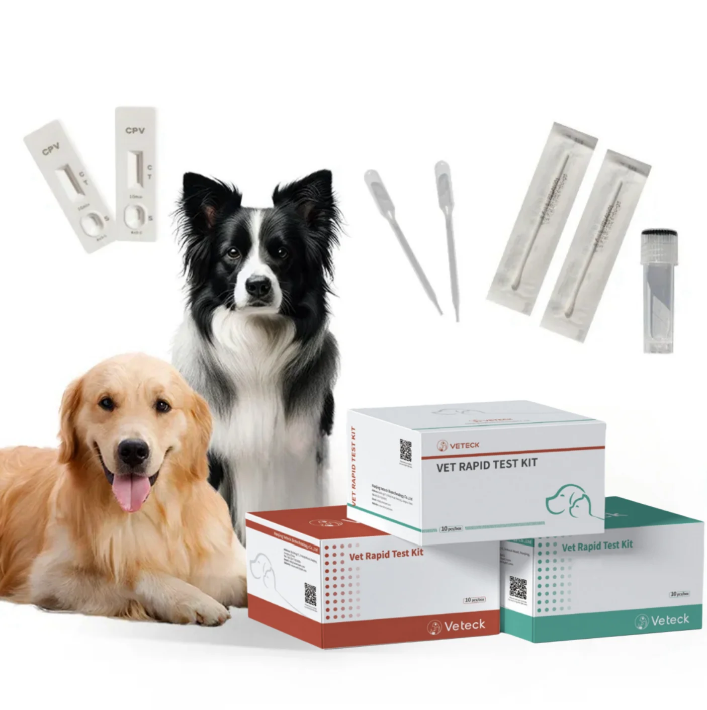 One-Step Rapid Test Kits voor honden Veterinaire diagnostische apparatuur CDV Antigen Test Medische diagnostische CDV-test voor huisdieren