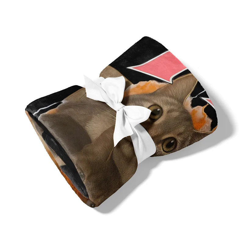 Aertemisi I Eat Cement Funny Cat Meme Cat Lover Gift Pet Blanket for Small Medium Large Dog Cat Puppy Kitten Couch Sofa Bed