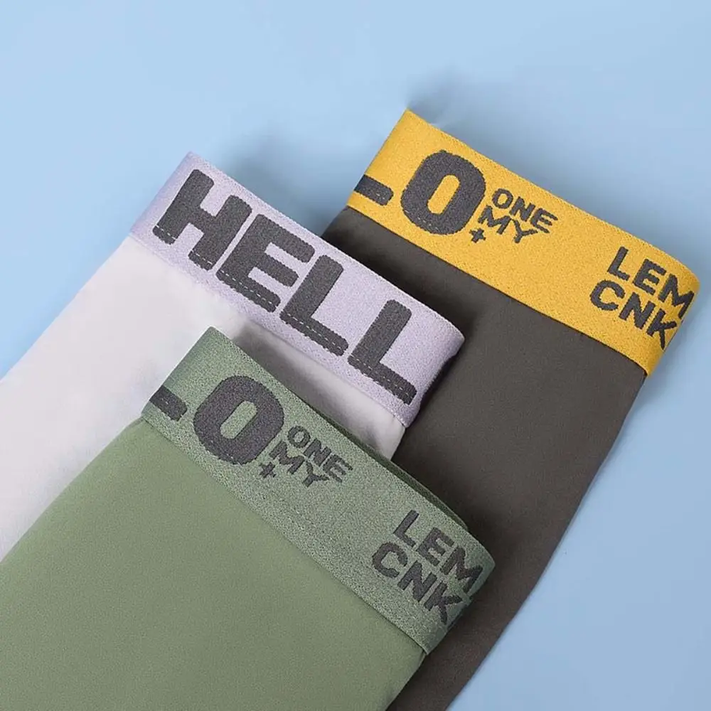 5PCS Simple Low Waist Men Thin Panties Male Lingerie Elastic Underwear for Men Briefs Letter Underpants Male