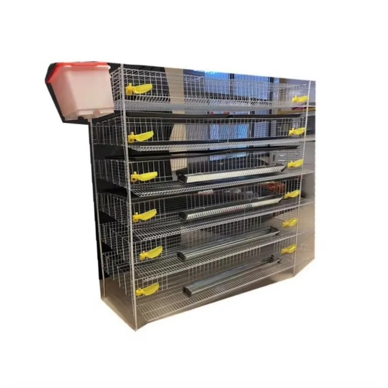 Gabbia per quaglie di tipo H premium per una produzione efficiente delle uova Gabbie per quaglie per allevamento di pollame in nuova condizione