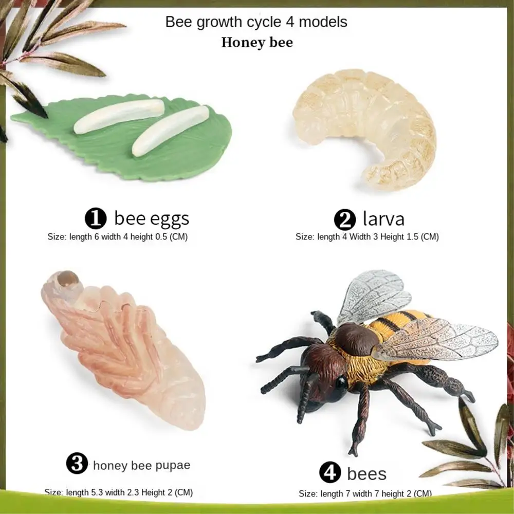 

ABOU-16PCS Insect Figurines Life Cycle Of Monarch Butterfly,Honey Bee,Cicada,Ladybug, Plastic Educational School Project