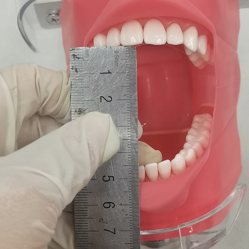 Symulator dentystyczny 2023 Phantom Head Wymień model zębów można zainstalować na biurku dentystycznym do praktyki dydaktycznej dentysty