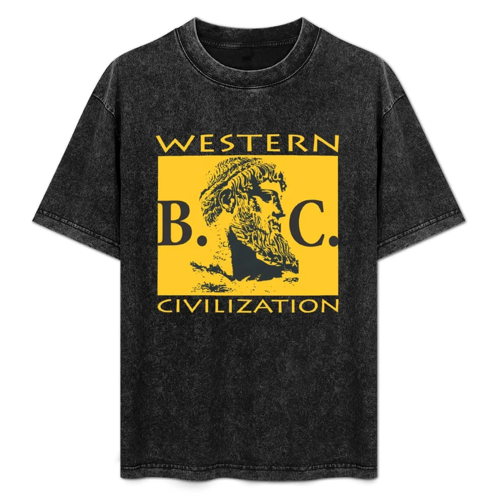 

Western Civilization Plato T-Shirt Work Wear Short Sleeve T-Shirt