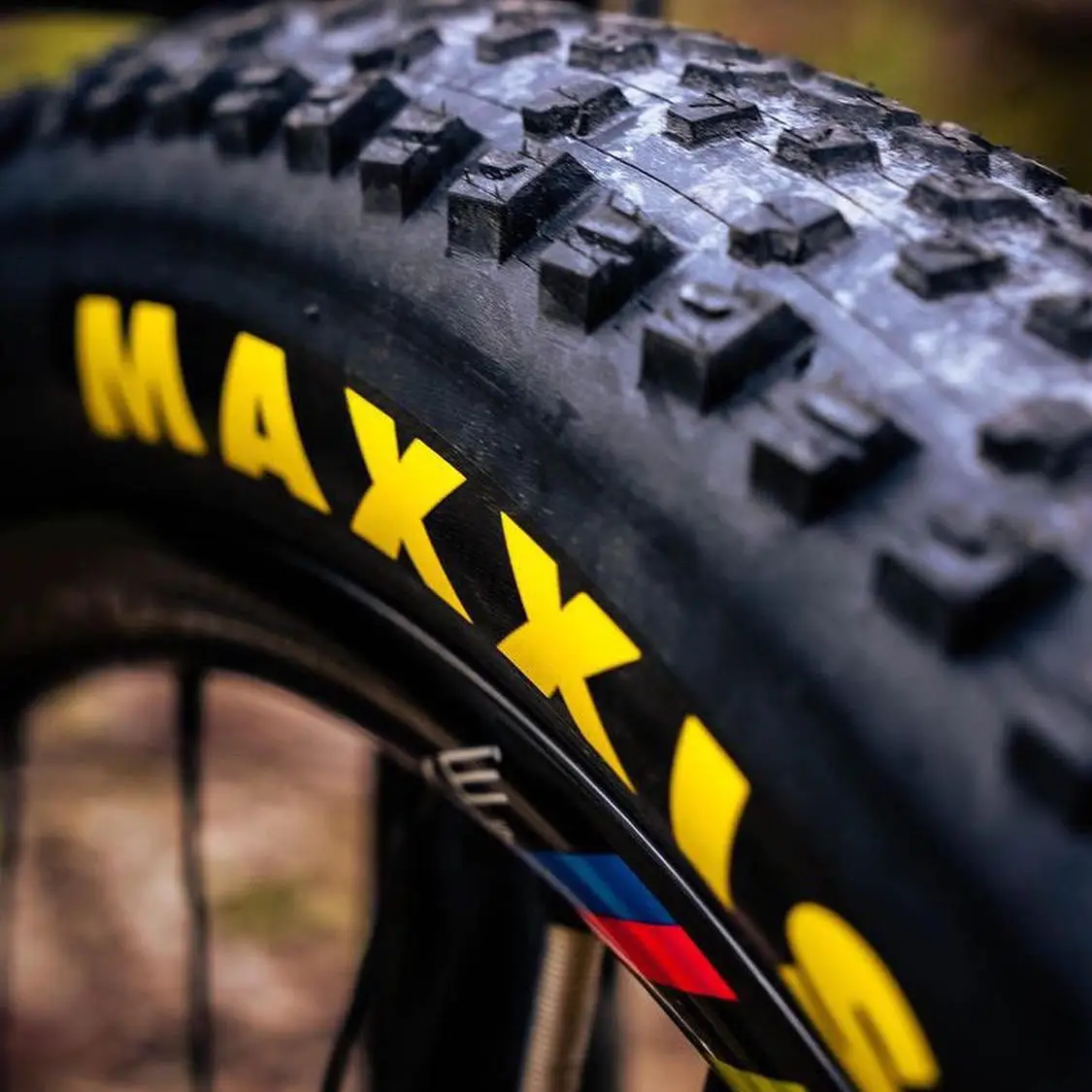 إطار ماكسيس ريكون ريس للدراجات الجبلية XC للطرق الوعرة مضاد للثقب بتقنية EXO مع حافة بنية اللون للدراجات الجبلية #2