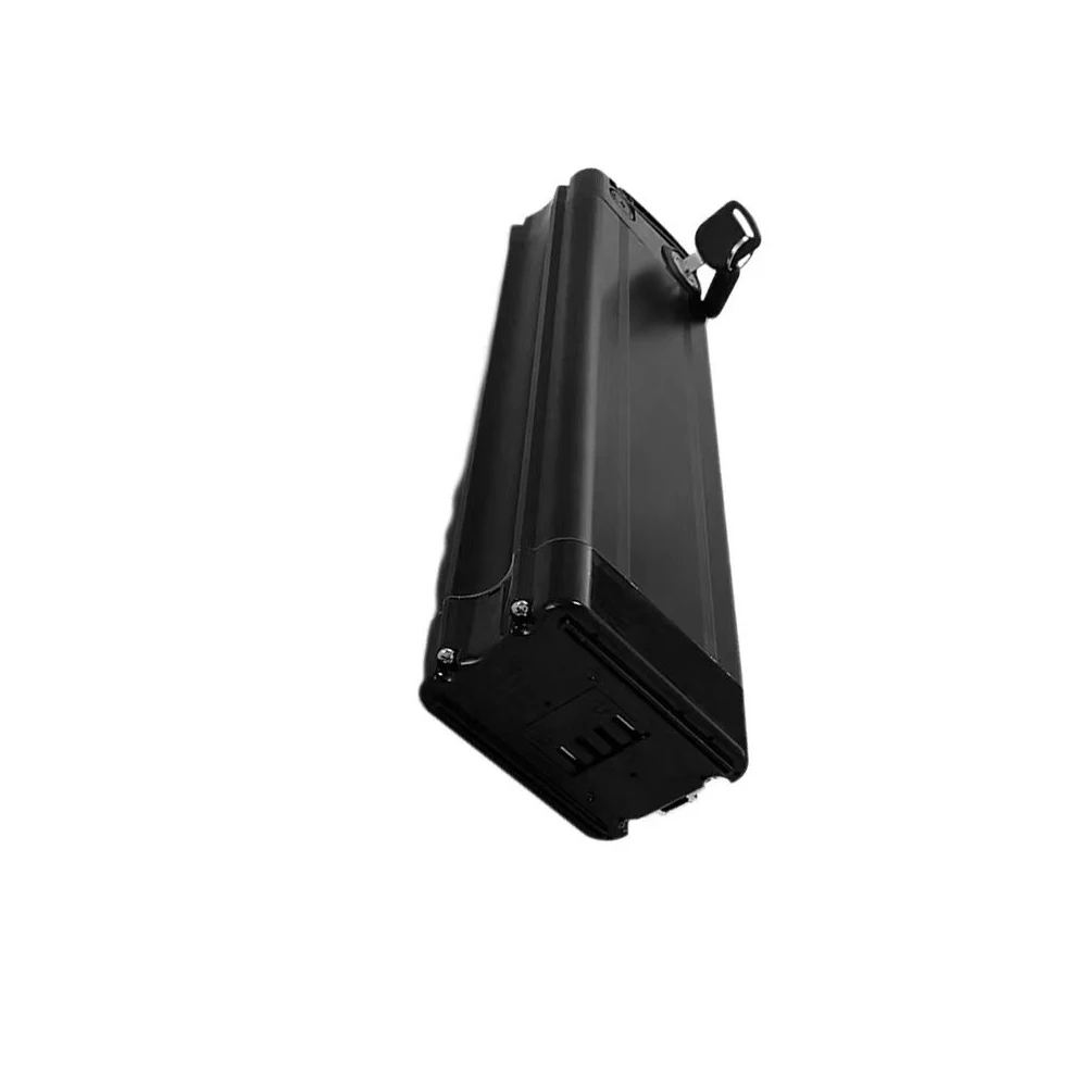 24V, 20-100Ah lithium battery pack, large capacity and multiple options, suitable for Silverfish 250W-1000W motors