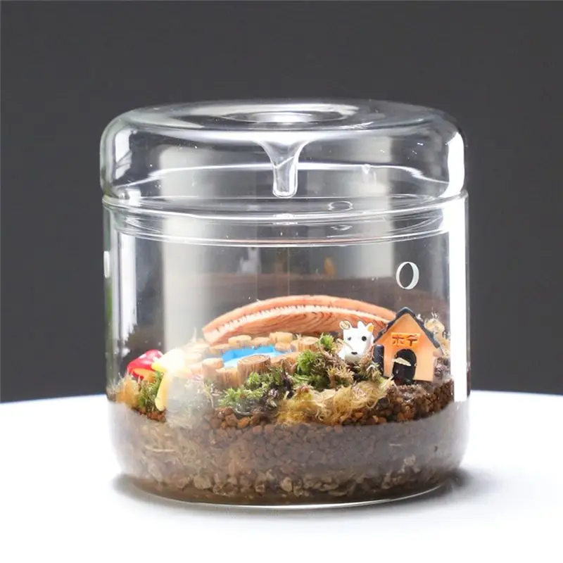 A11E-Micro-Landscape Glass Terrarium With Dew Collection Cover, Bonsai Vase Glass Microscopic Landscape Ecological Bottle